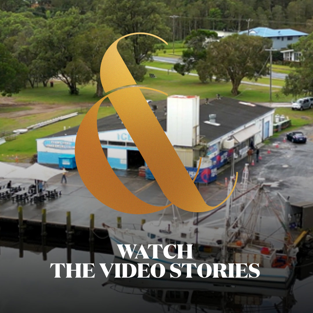 Video Stories